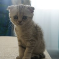 Танюха