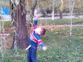Сегодня после сада, ЗОЛОТАЯ ОСЕНЬ