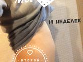 14 неделек