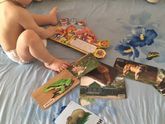 Книжный спектакль