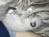 Не могу не поделиться радостью