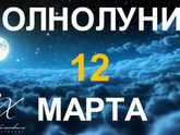 Как ваши 😘реагируют на