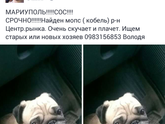 Мариуполь!!!!!!
