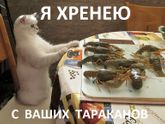 Всем хорошего настроения!