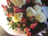 👪💒🌹💐🌷