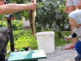 365. День 329. Усадьба Олеши