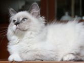 Завтра у нас операция
