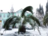 Ну вот и в Сочи пришла зима