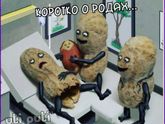 Улыбнуло)))