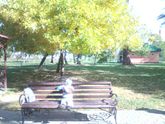 365. День 356. Жаркое бабье лето