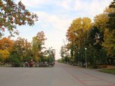 365. День 357. Закружила рыжеволосая красавица