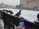 Наши выходные