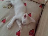 Ура!к весне готовы!😉