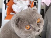 А нам сегодня 5