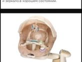 Продам