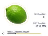 Как быстро летит время