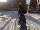 Мы сегодня лягушки -путешественницы