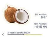 Наш экватор)