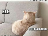 Моя