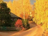 Планы на осень