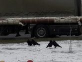 Весна🙄