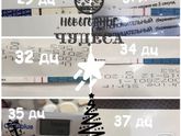 Наши тестики растут 🎄🎉❄️