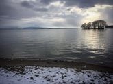 Беременные заскоки
