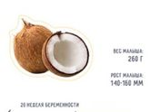 20 неделя ?животик появился.Шевелюшки