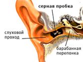 детские ушки