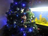 С наступающим новым годом !!!