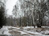 Отгадайте, какой месяц на фото?