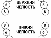 Вот как мазать десны