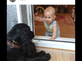 Малыши👼🏼 и собаки 🐩🐕