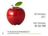 Pro 14 недель ????
