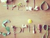 🌷💓🌷