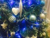 Наша ёлочка 🎄