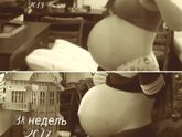 38 недель, результаты узи и фотопуз