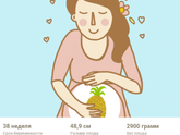 38 неделек ))