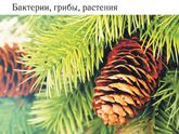 Настукать учебником биологии по головам родителей