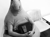 Прошла неделя в спортзале.