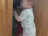 Рыжое счастье