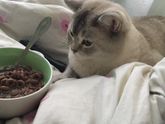Доброе утро ?