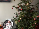 С Новым Годом 2017!🎄💫