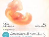 Нам уже 5.