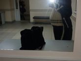 Смотрю, смотрю, не понимаю,