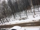 ❄️