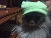 Скорее бы встретиться с нашим мальчиком:)