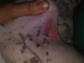 Не брезгливым!Вопрос о болезни собаки!
