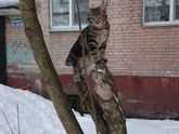 Котик красивый😻