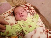 Мой тигреночек:**